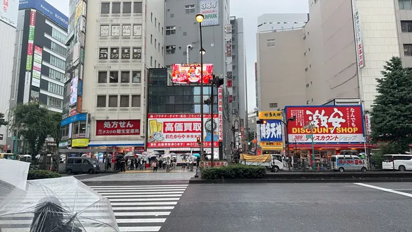 Kabukicho Sakura-dori