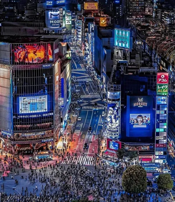Kabukicho Sakura-dori