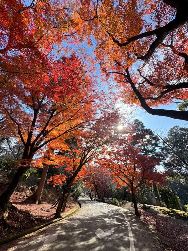 Chayama-enchi