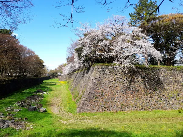 Nagoya Monument