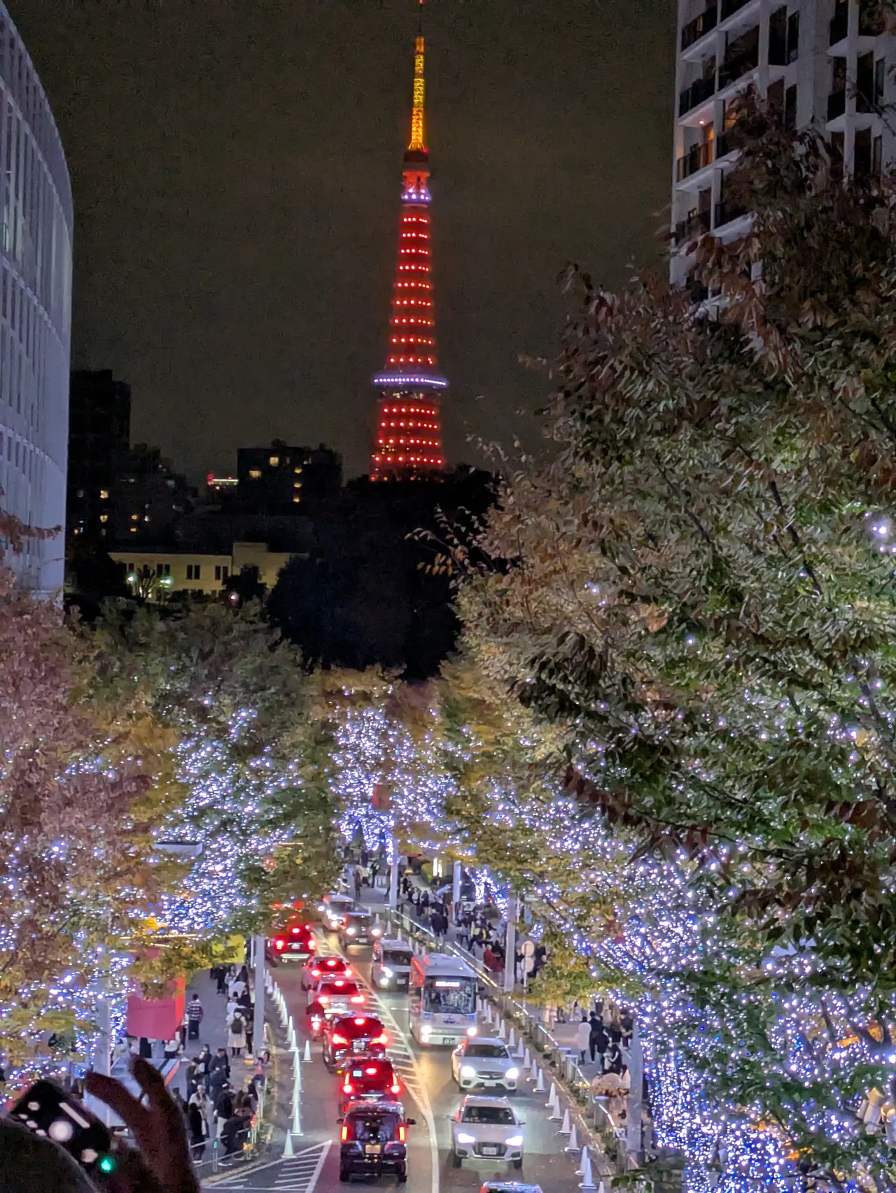 六本木東京塔夜景