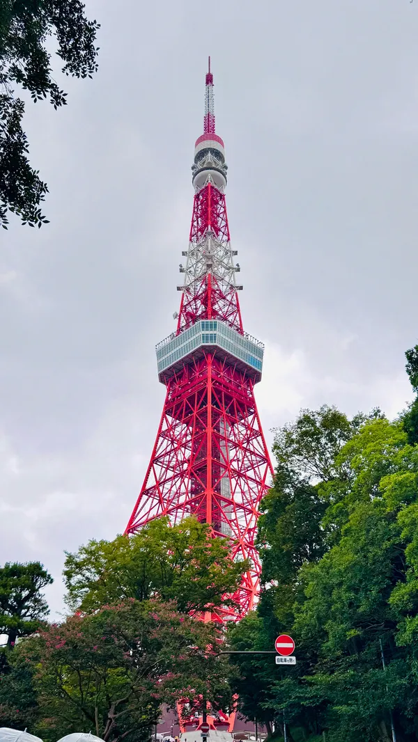 六本木東京塔夜景