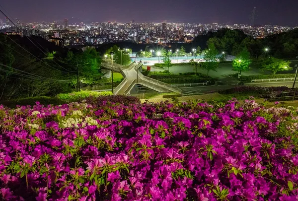 Ryuo Park