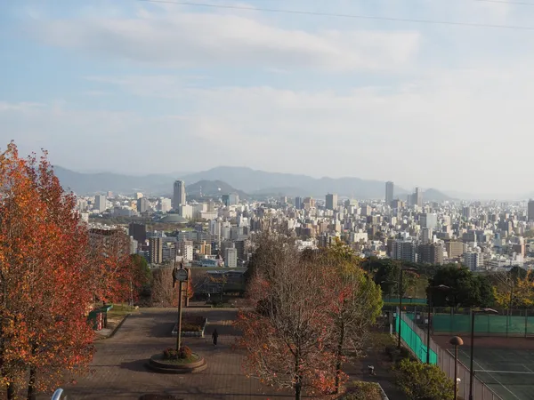 Ryuo Park