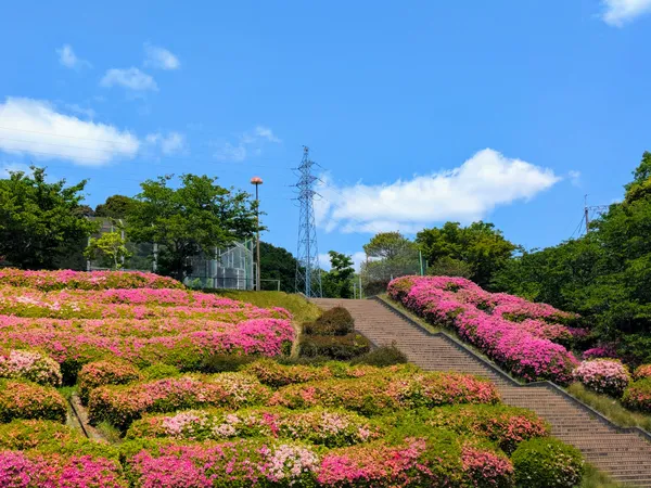 Ryuo Park