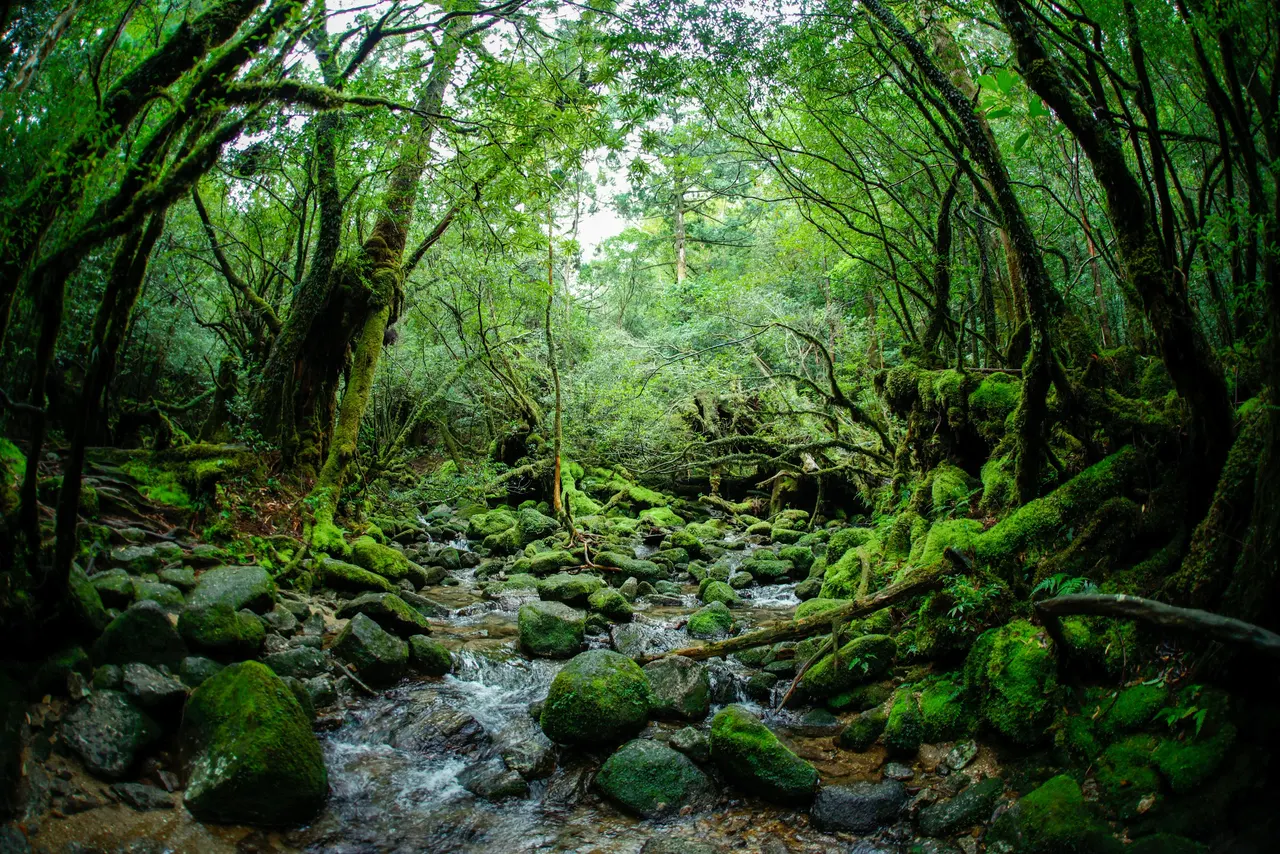 Shiratani Unsui Gorge