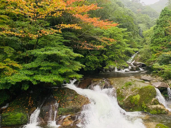 Shiratani Unsui Gorge