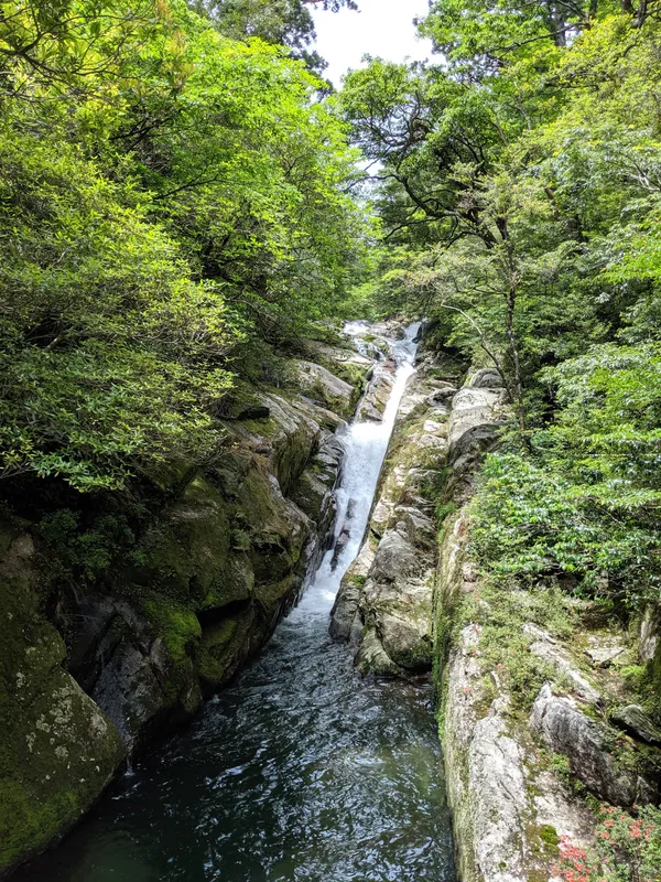 Shiratani Unsui Gorge
