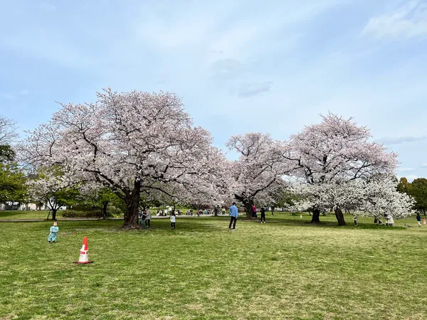 Shinozaki Park