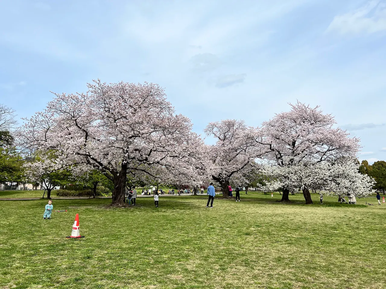 Shinozaki Park