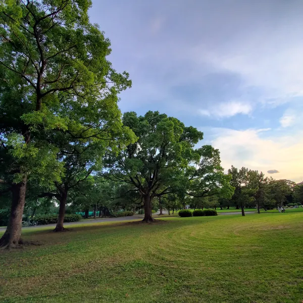 Shinozaki Park