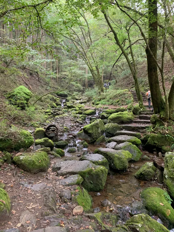 Mount Mitake