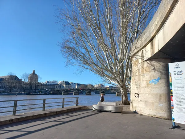 Tunnel des Tuileries