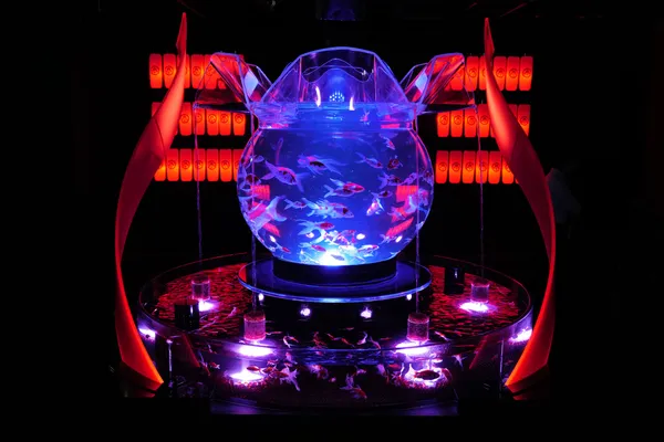 ART AQUARIUM MUSEUM