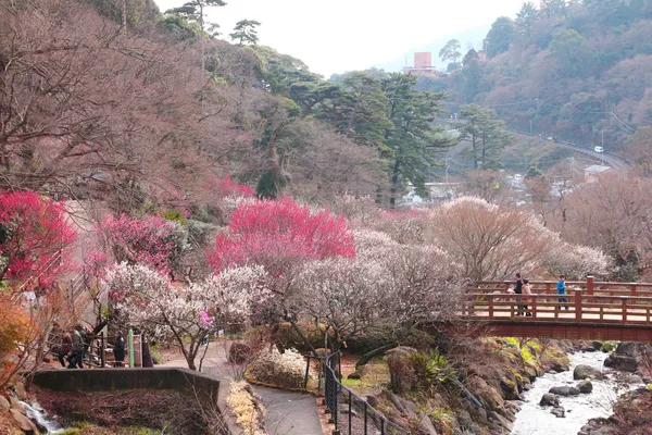 Atami Plum Garden