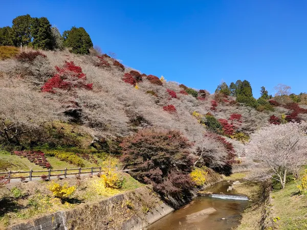 Obara Fureai Park