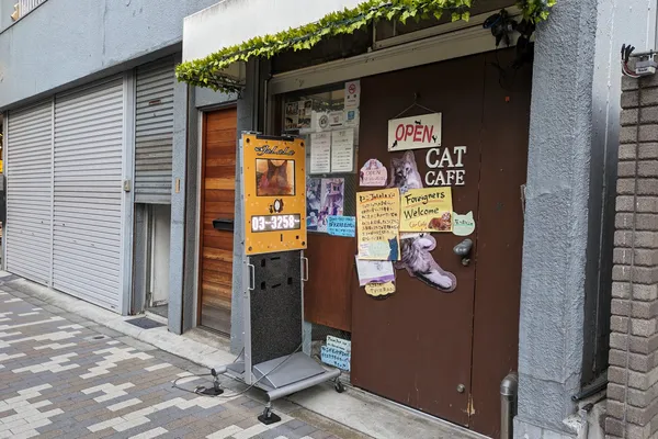 Neko JaLaLa