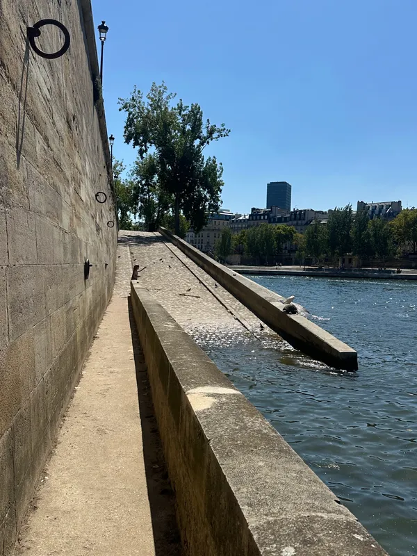 Turtle de Seine