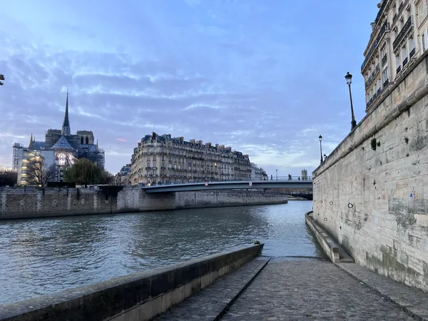 Turtle de Seine