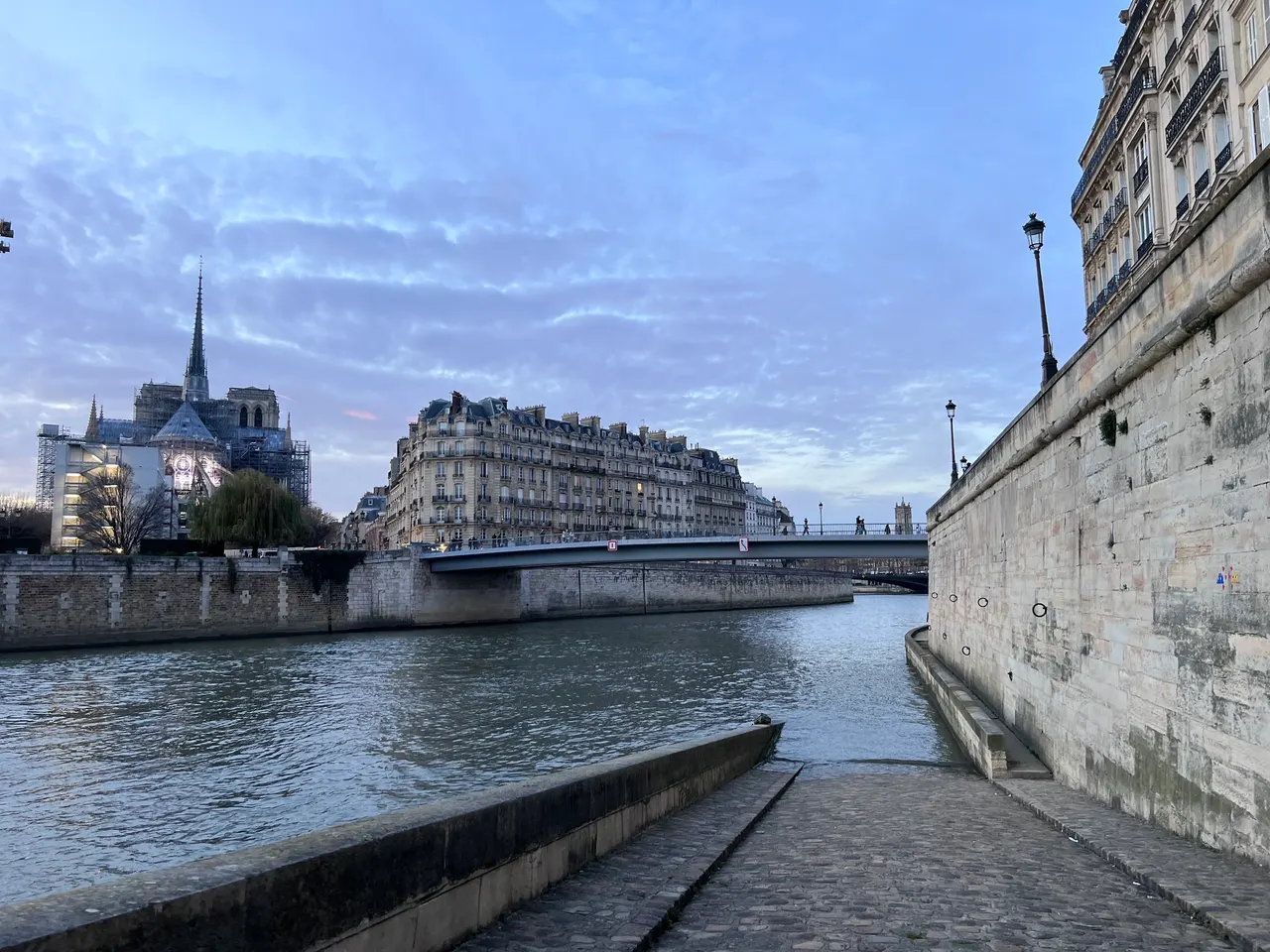 Turtle de Seine
