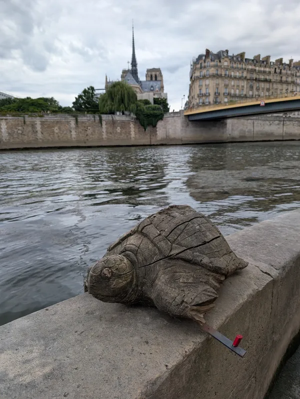 Turtle de Seine