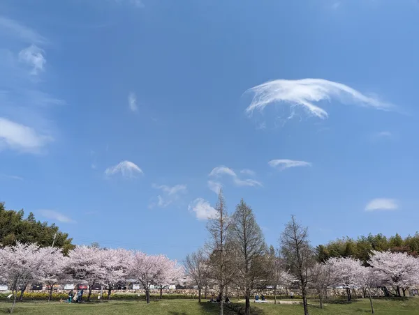 Sakurayama Park