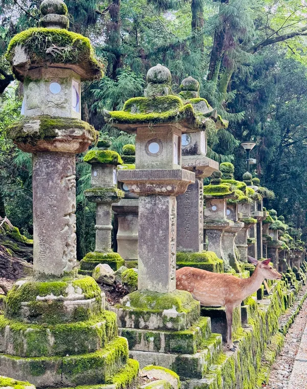 Meoto Daikokusha