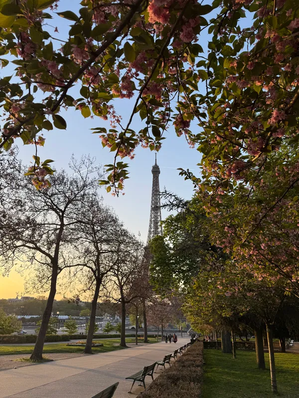 Jardin d'enfants