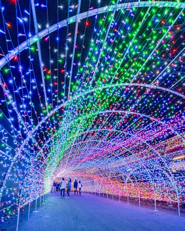 Yomiuri Land