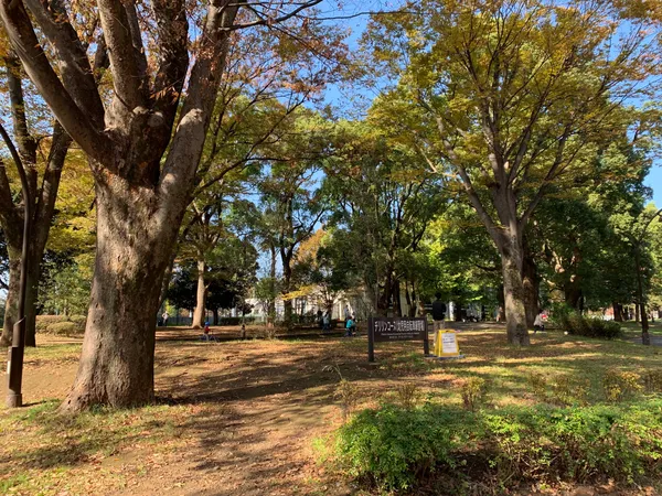 駒沢公園チリリンコース