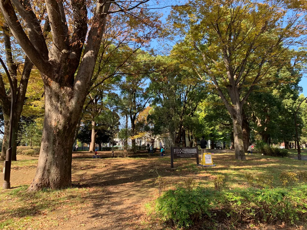 駒沢公園チリリンコース