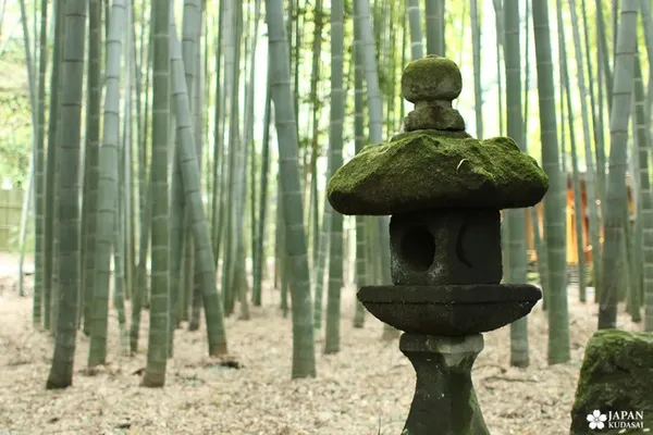 Hokokuji Bamboo Forest