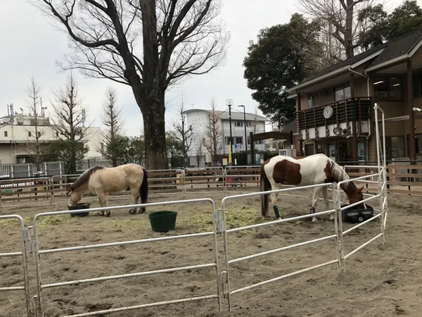 Yoyogi Pony Park