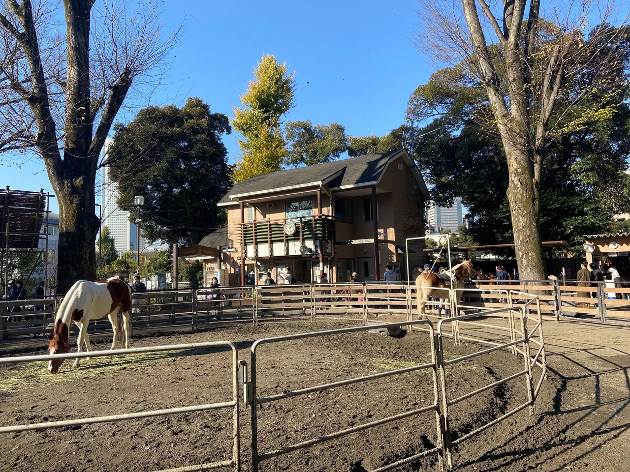 Yoyogi Pony Park
