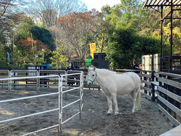 Yoyogi Pony Park