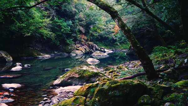 Kaeda Valley
