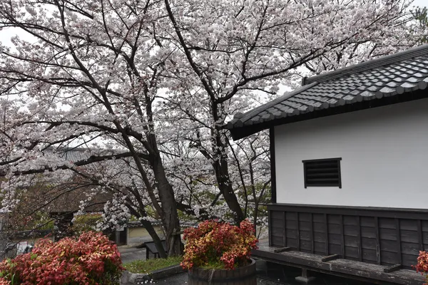 Kodaiji Park