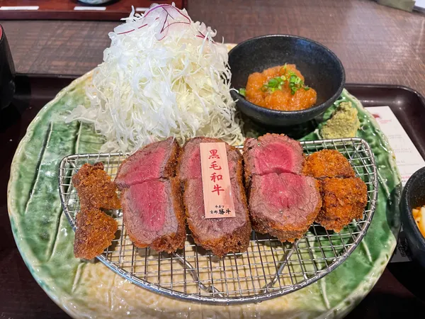 GYUKATSU Kyoto Katsugyu Narita International Airport JAPAN FOOD HALL