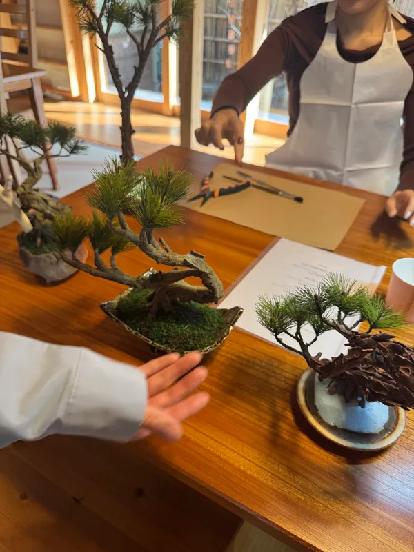 Hakone Workshop Art BONSAI