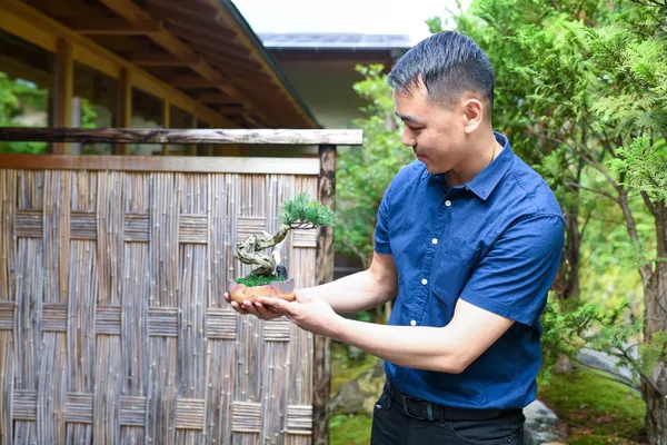 Hakone Workshop Art BONSAI