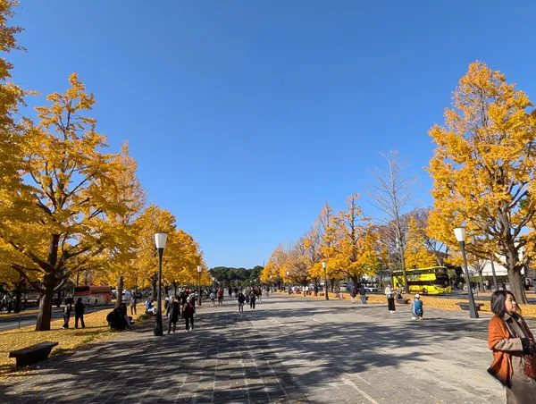 Gyoko-dori