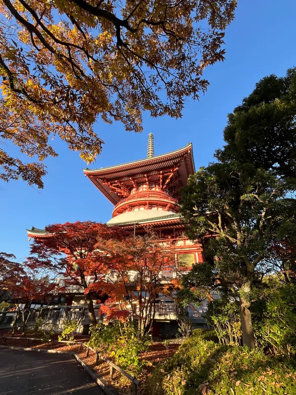 Approach to Great Pagoda of Peace & Ioden