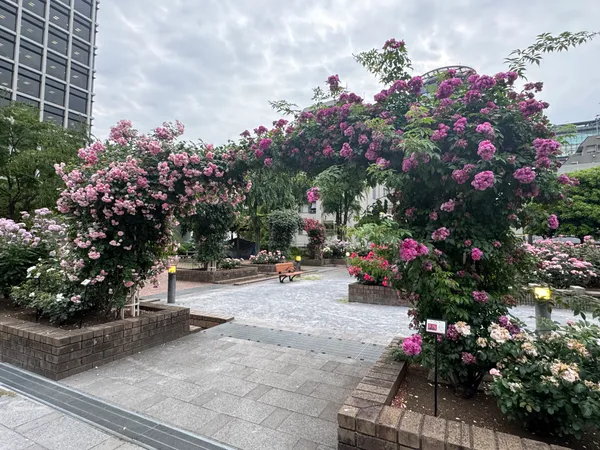 Akasaka Hikawa Park