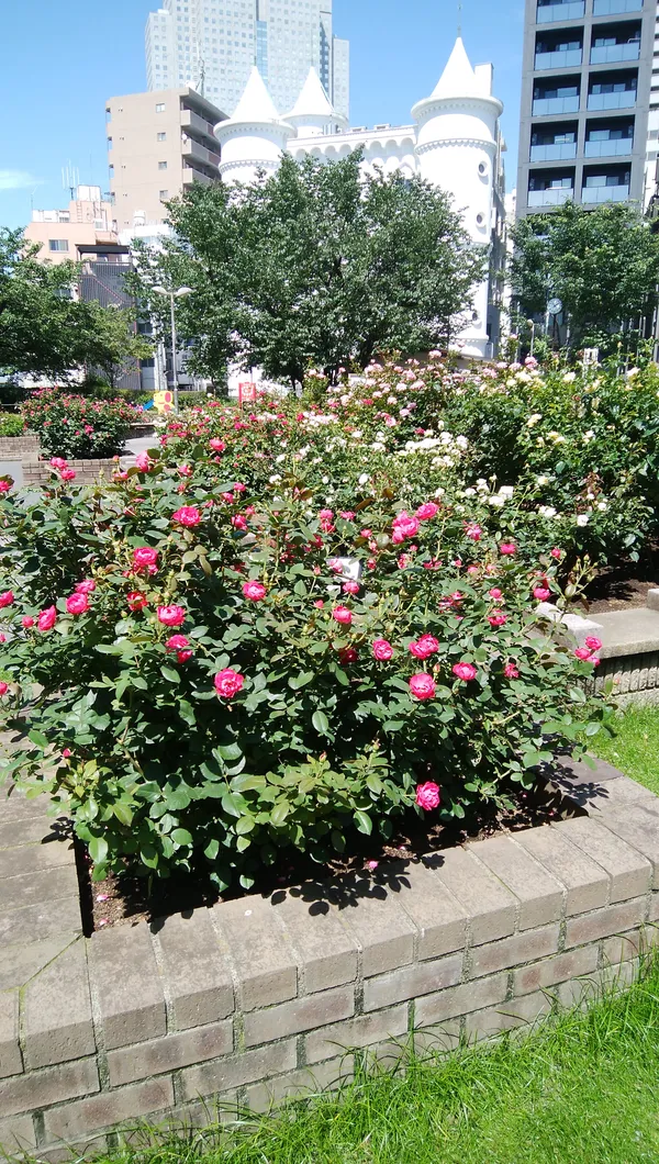 Akasaka Hikawa Park