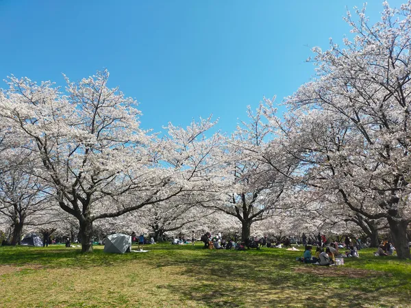 Aobanomori Park