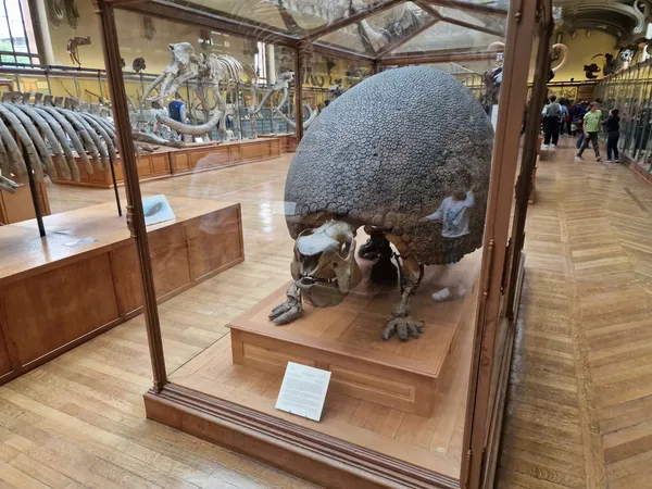 National Museum of Natural History