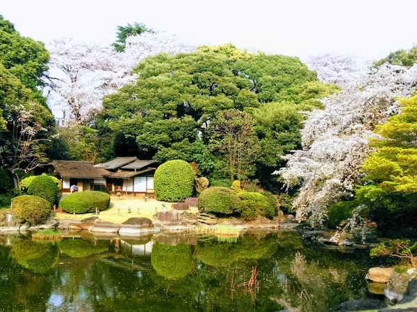Tokyo National Museum