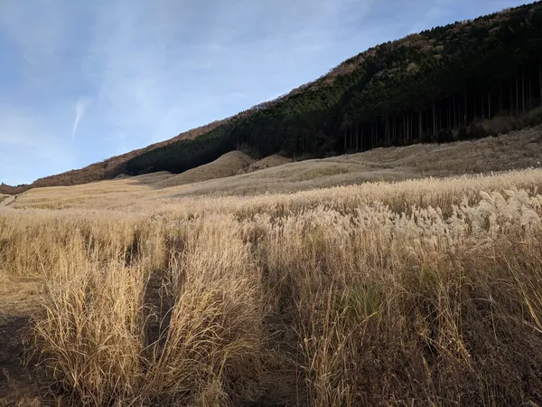 Sengoku plateau 仙石高原
