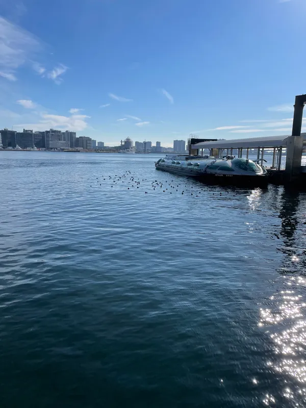 Hinode Pier