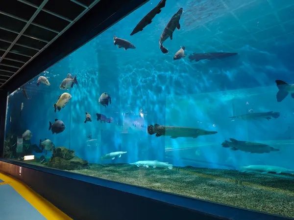 Hakone-en Aquarium